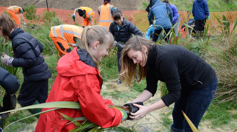 tree planting group.jpg