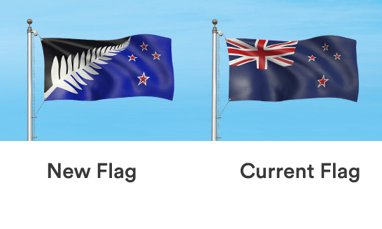 flag-choices-4web.jpg