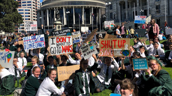 Marsden students on the Parliamentary Lawn