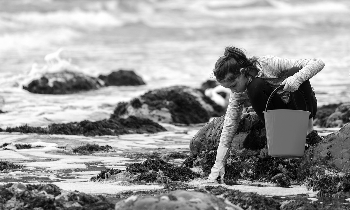 2019 11-26 Marsden Beach Clean (43 of 74)-Greyscale.jpg