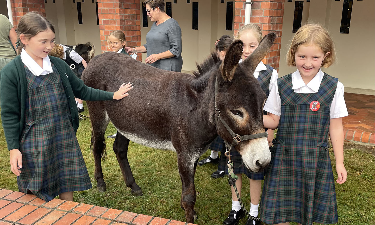 IMG_E2987-girls with donkey-4web.jpg