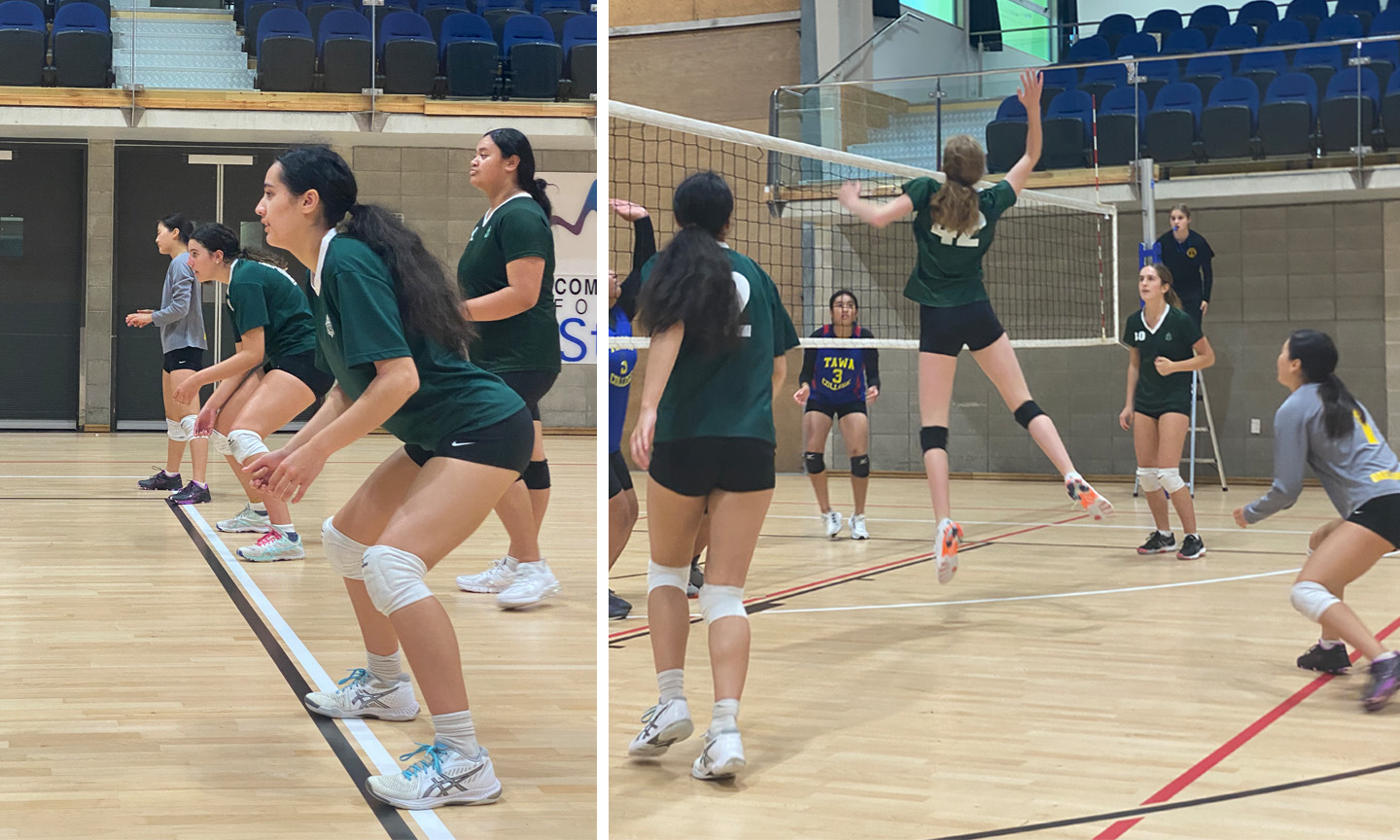 volleyball-2-4web.jpg