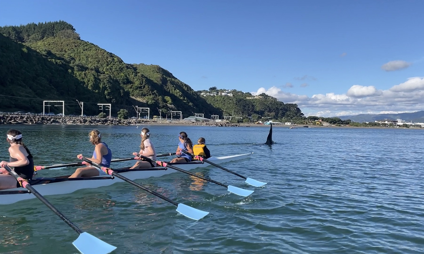 rowers with orca1-4web.jpg