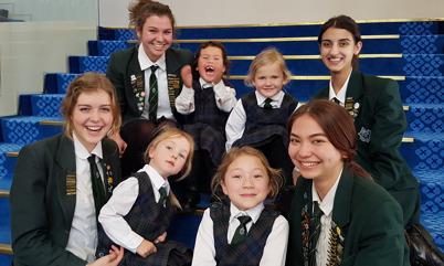 Enrolments