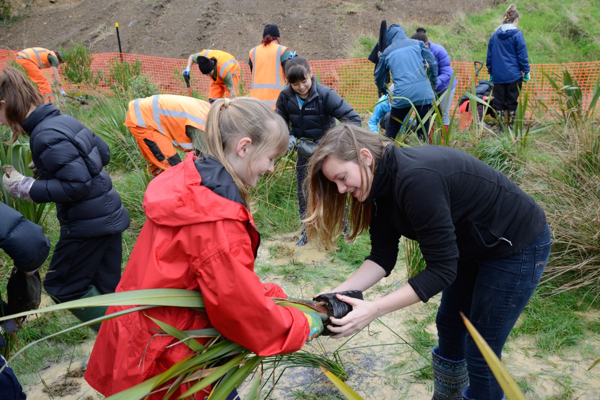 Tree Planting Group